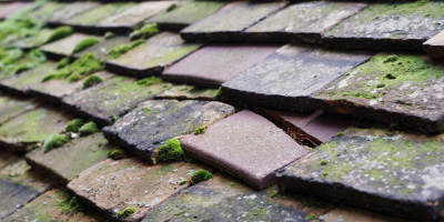 Nailsea roof repair costs